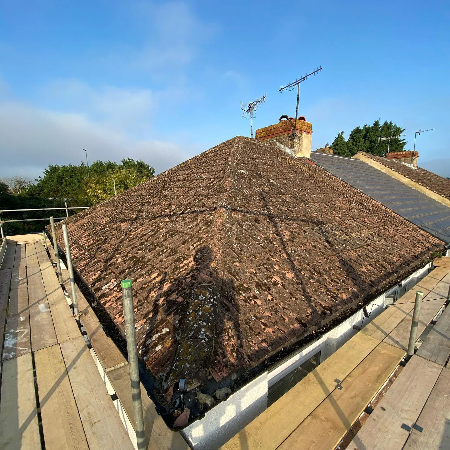 moss-ridden roof